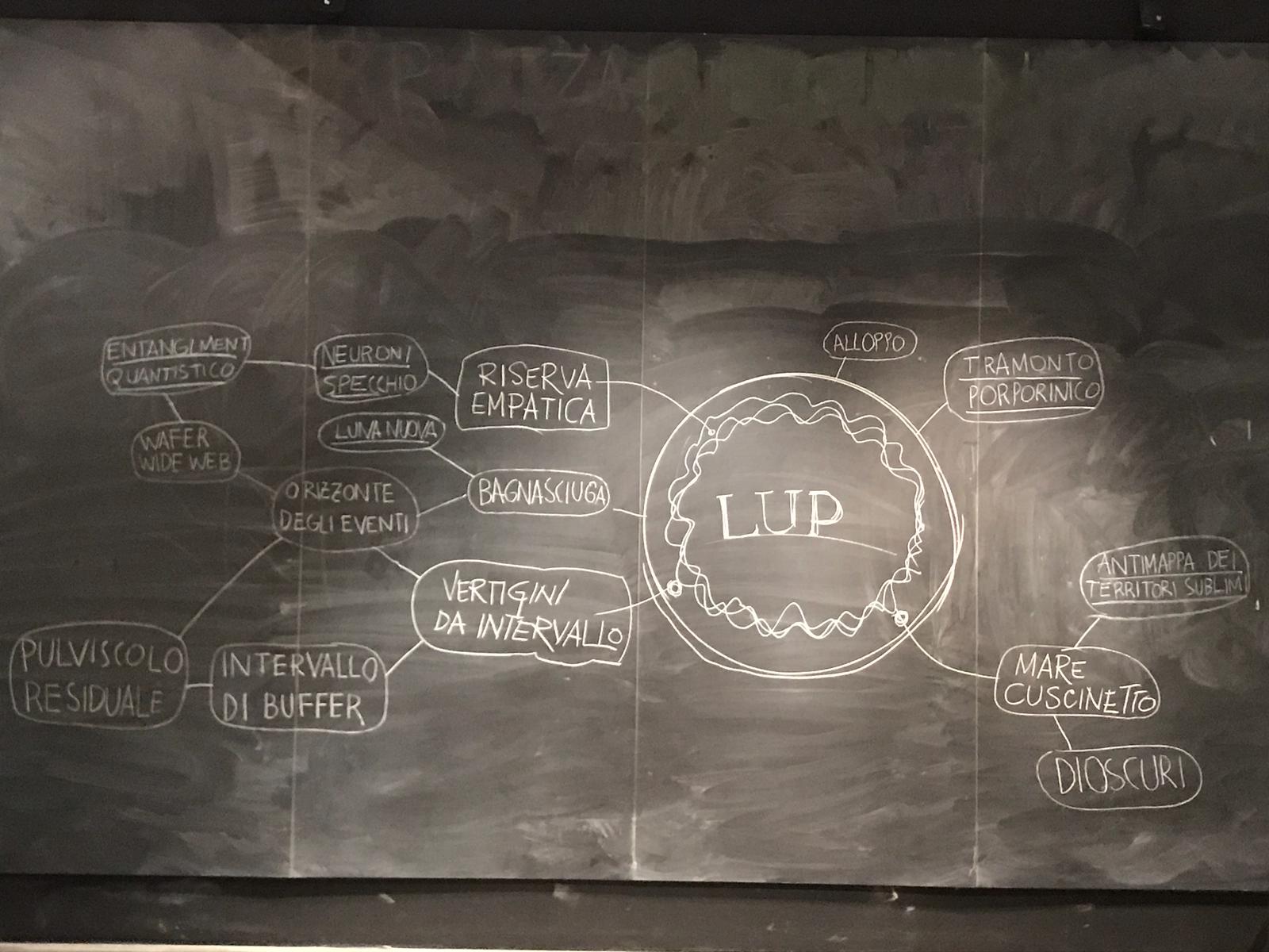 Lup macro asilo 2019